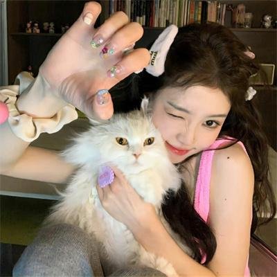 怪猫菲力兹