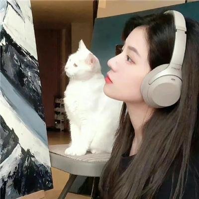 人妖打排球2