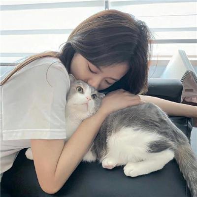给我庇护